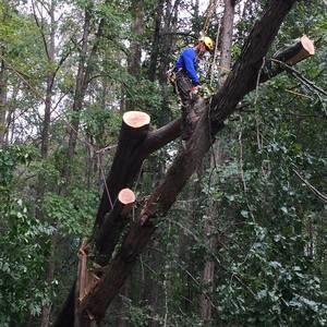 Meet your Posher, Don